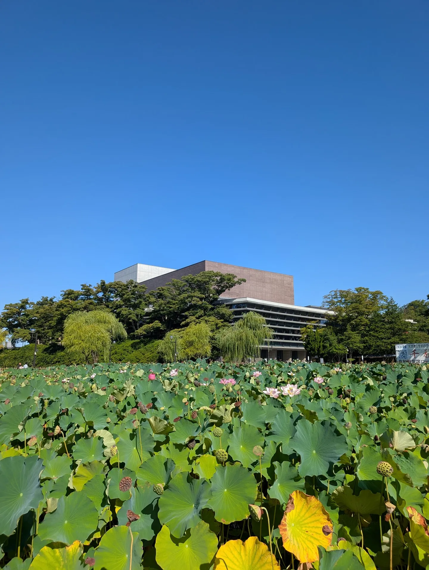 【京都市・弁護士】民事階級暴力対策大会in秋田/中島宏樹法律...