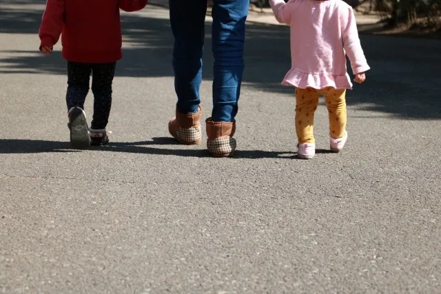 弁護士に相談する親権を決める流れと判断基準を知る実践ガイド